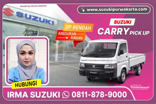 CARRY PICK UP